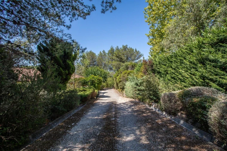 Moradia T4 para Venda em Santa Maria e São Miguel, São Martinho, São Pedro Penaferrim Foto 56