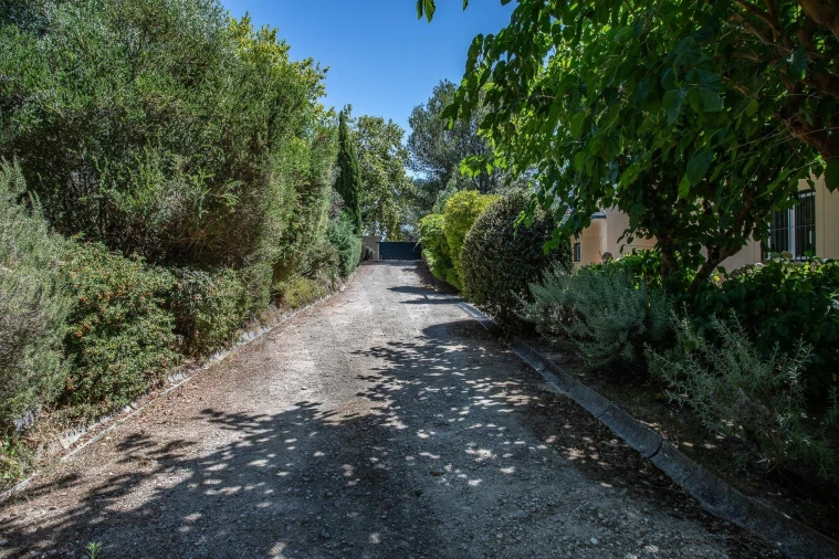 Moradia T4 para Venda em Santa Maria e São Miguel, São Martinho, São Pedro Penaferrim Foto 53
