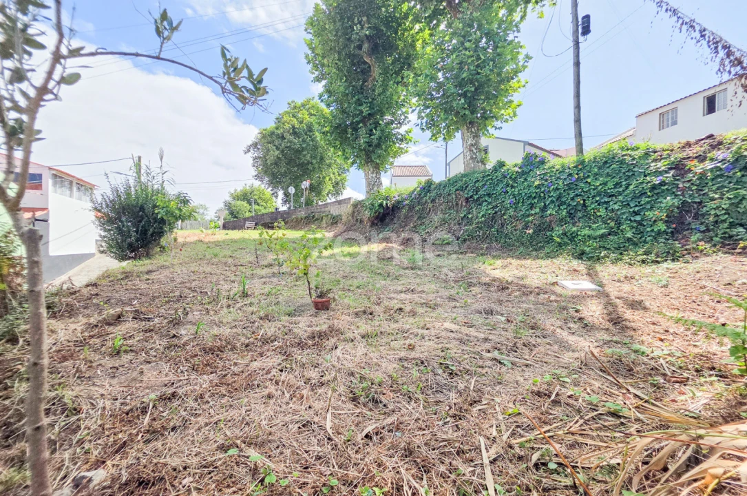Terreno para Venda em Remedios Foto 12