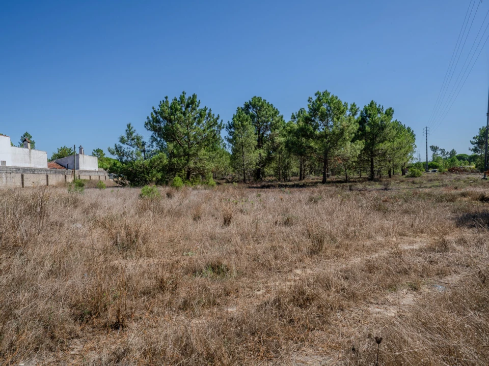 Terreno para Venda em Pataias e Martingança Foto 2
