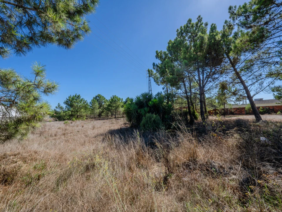 Terreno para Venda em Pataias e Martingança Foto 3