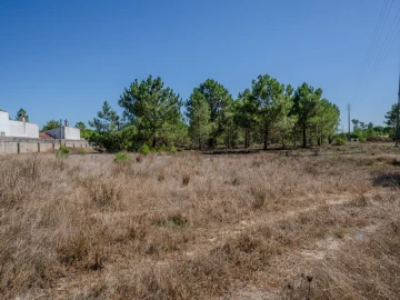 Terreno para Venda em Pataias e Martingança