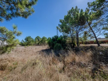 Terreno para Venda em Pataias e Martingança
