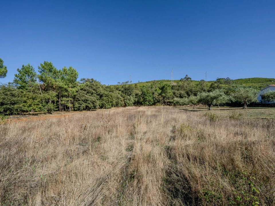 Terreno para Venda em Pedreiras Foto 1