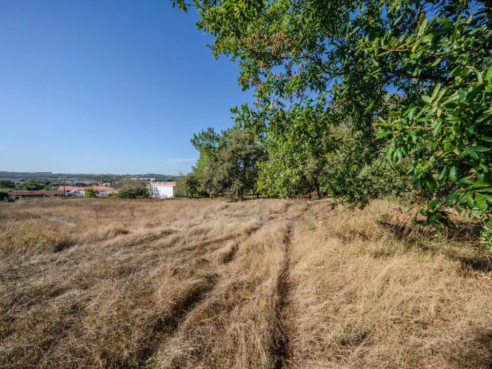 Terreno para Venda em Pedreiras Foto 2