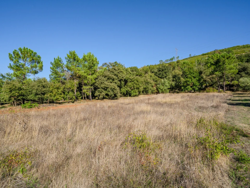 Terreno para Venda em Pedreiras Foto 4