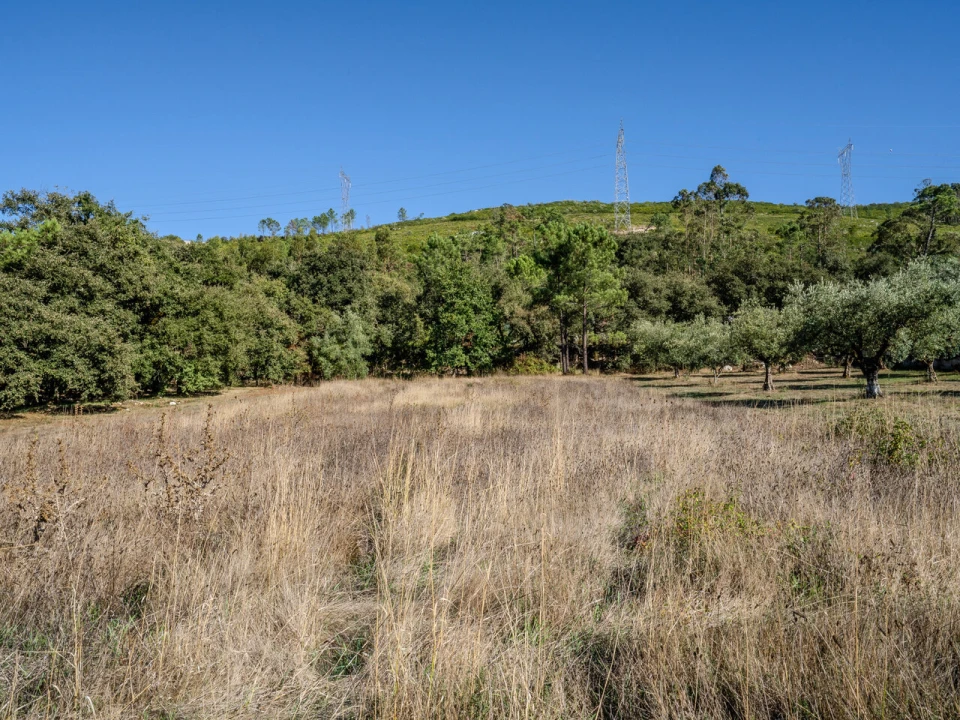 Terreno para Venda em Pedreiras Foto 5