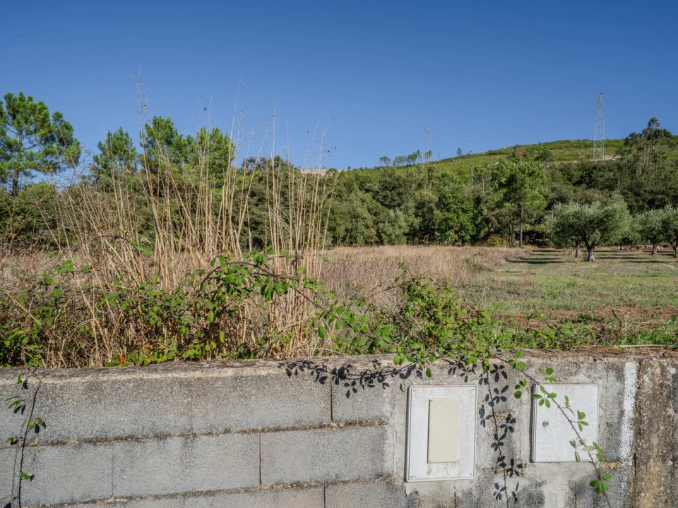 Terreno para Venda em Pedreiras Foto 8