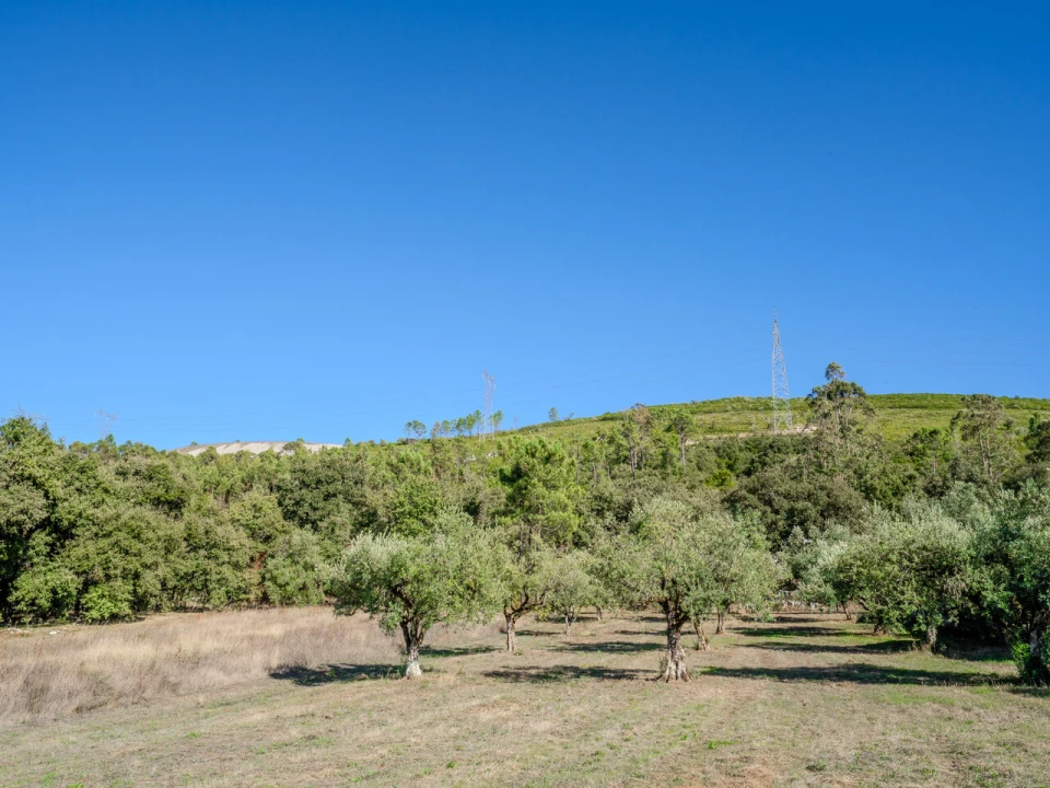 Terreno para Venda em Pedreiras Foto 9