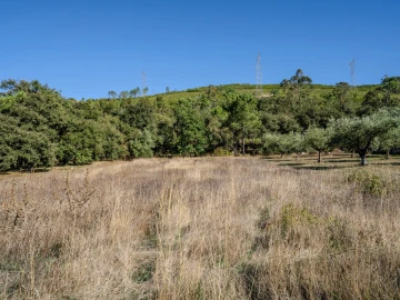 Terreno para Venda em Pedreiras