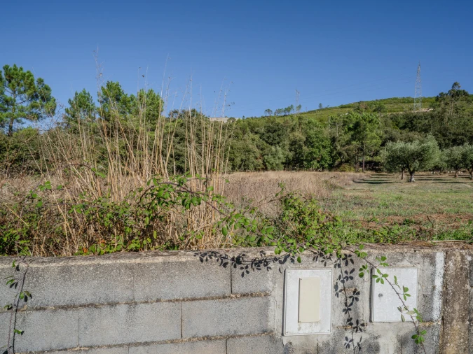 Terreno para Venda em Pedreiras Foto 8