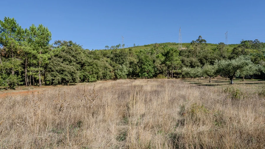 Terreno para Venda em Pedreiras