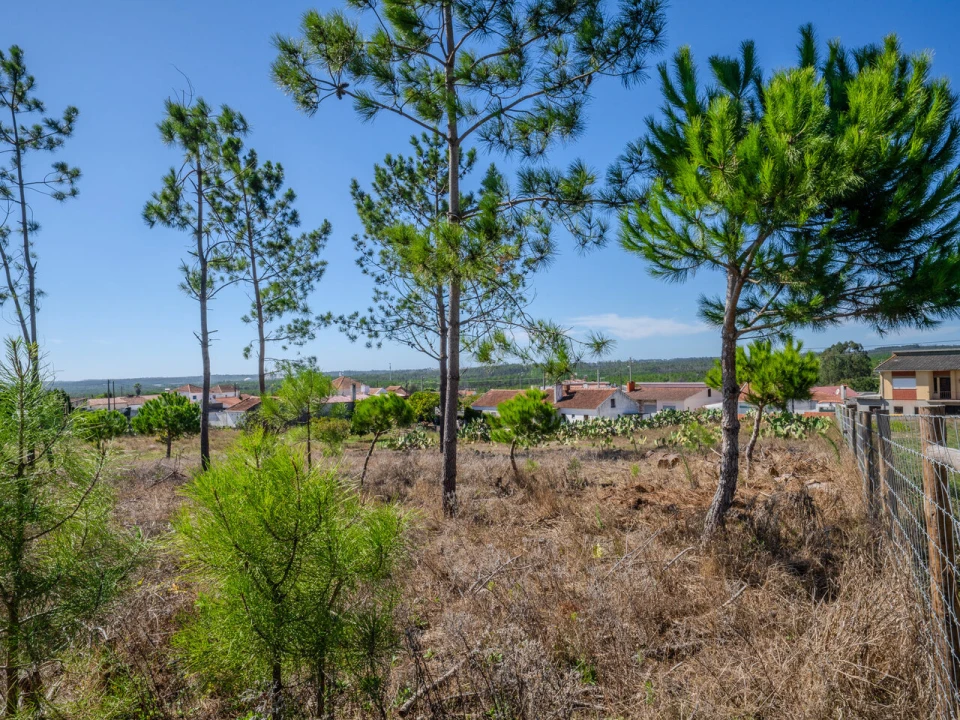 Terreno para Venda em Pataias e Martingança Foto 4