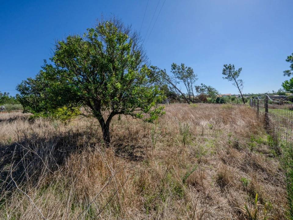Terreno para Venda em Pataias e Martingança Foto 5