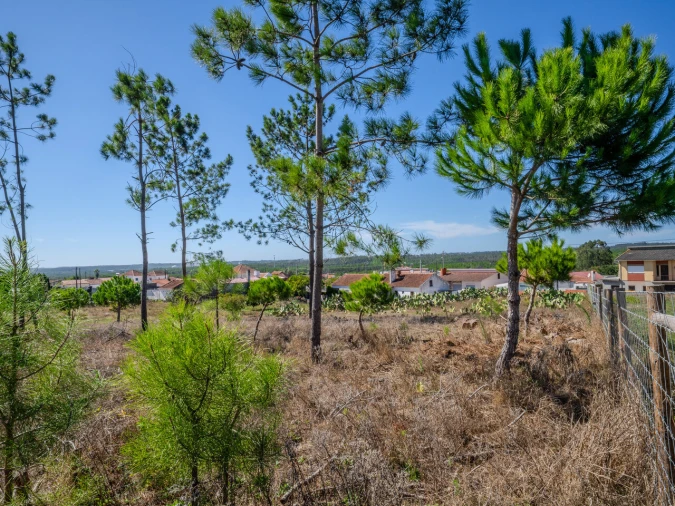 Terreno para Venda em Pataias e Martingança Foto 4