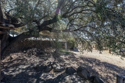 Quinta T3 para Venda em Monsaraz