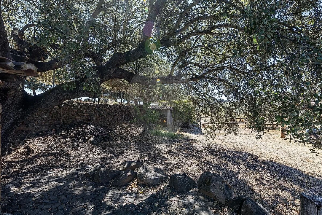 Quinta T3 para Venda em Monsaraz Foto 39
