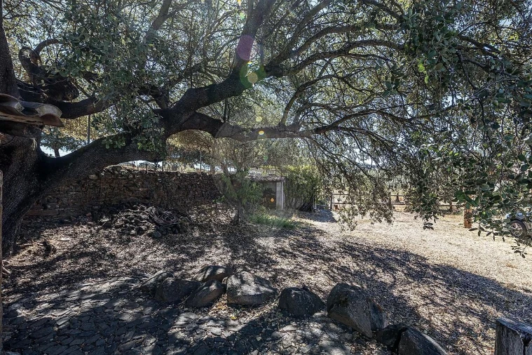 Quinta T3 para Venda em Monsaraz Foto 39