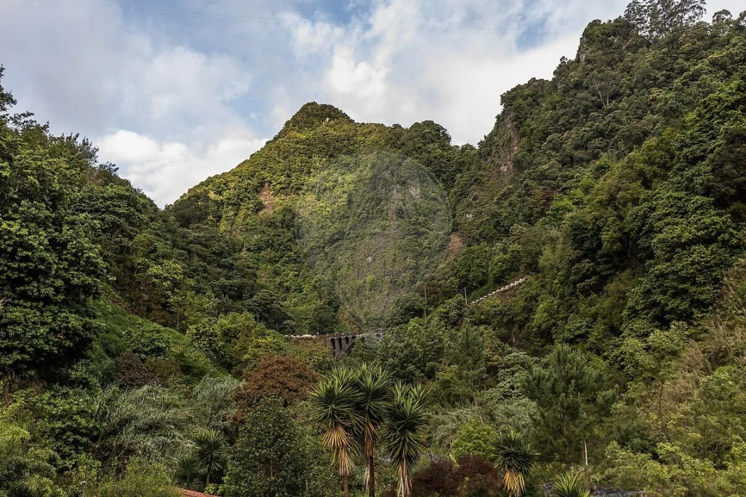 Moradia T5 para Venda em São Roque do Faial Foto 34