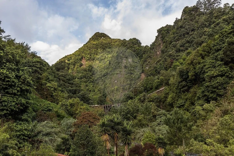 Moradia T5 para Venda em São Roque do Faial Foto 34