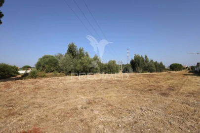 Terreno para Venda em Nossa Sra de Fatima
