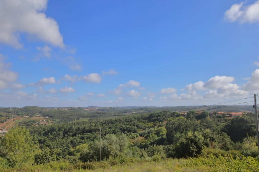 Terreno para Venda em Alvorninha Foto 5
