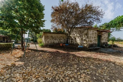 Quinta T4 para Venda em Boidobra