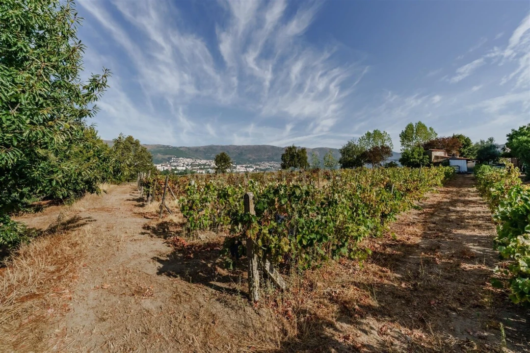 Quinta T4 para Venda em Boidobra Foto 16