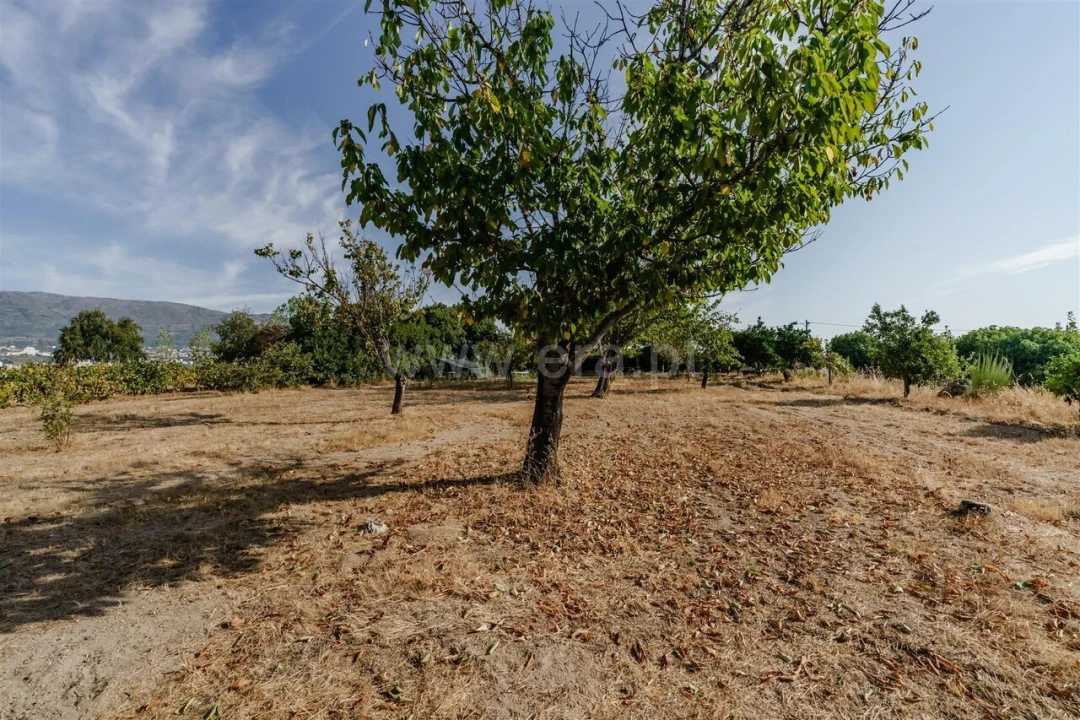 Quinta T4 para Venda em Boidobra Foto 15