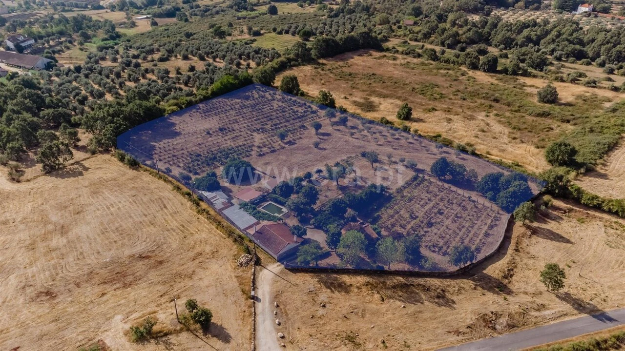 Quinta T4 para Venda em Boidobra Foto 18