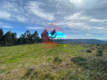 Terreno para Venda em Ribeira do Neiva
