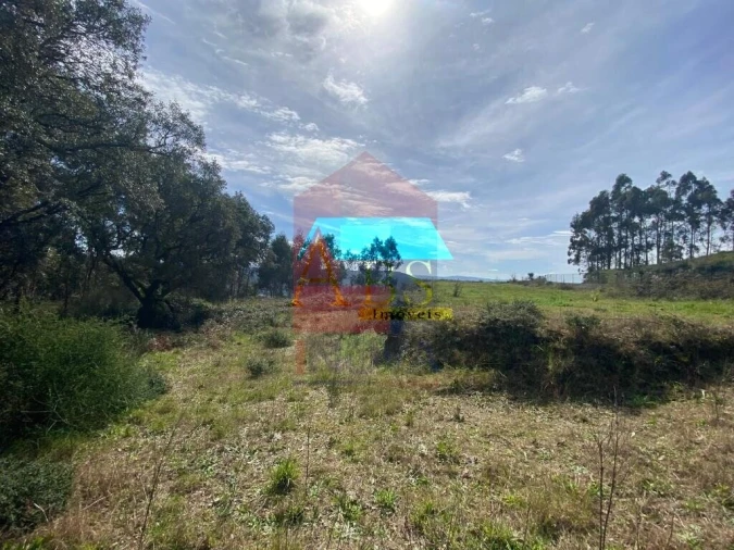 Terreno para Venda em Ribeira do Neiva Foto 5