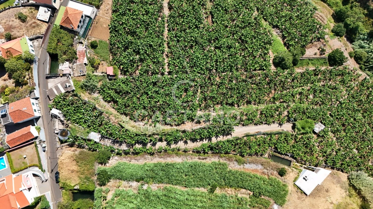 Terreno para Venda em Ponta do Sol Foto 2