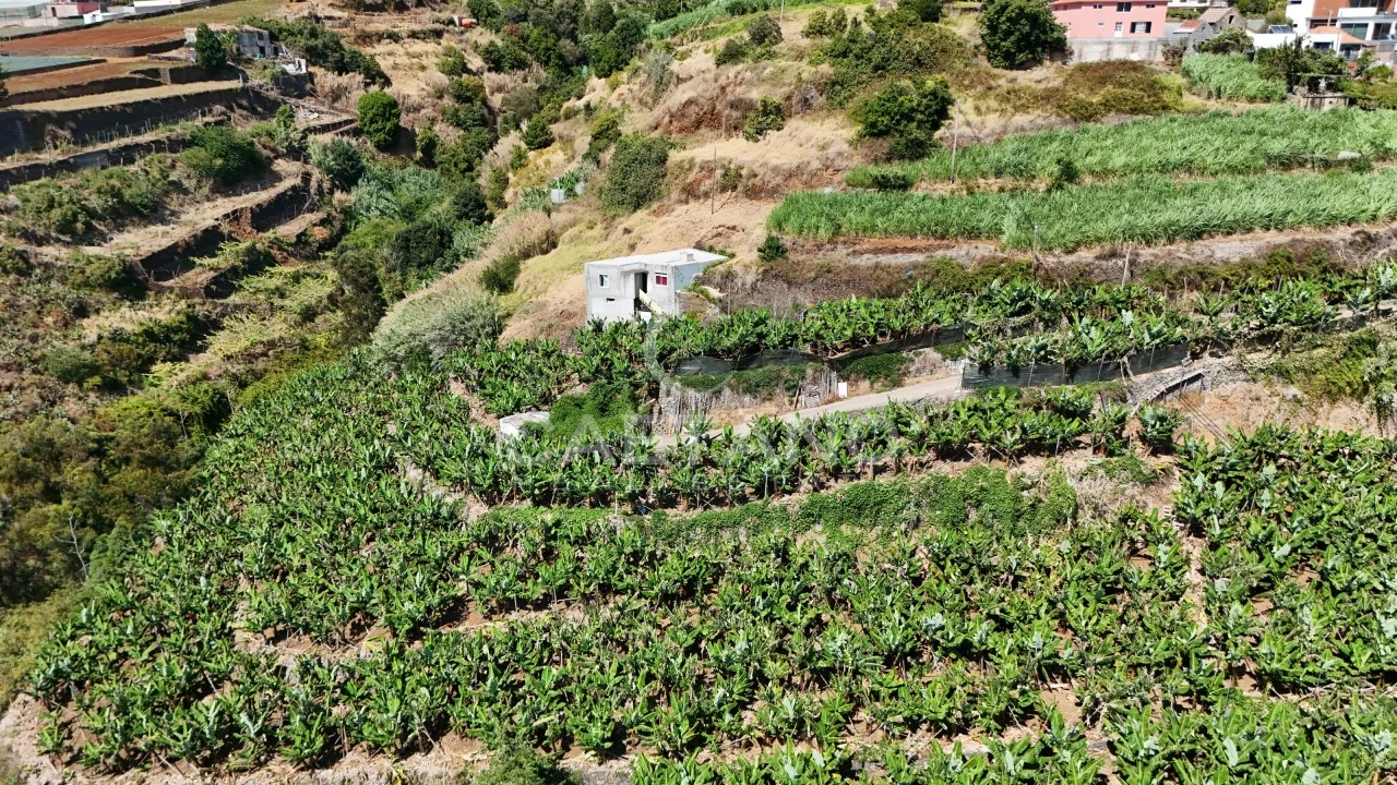Terreno para Venda em Ponta do Sol Foto 3