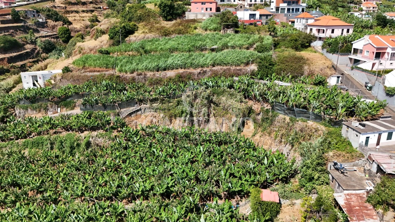Terreno para Venda em Ponta do Sol Foto 4