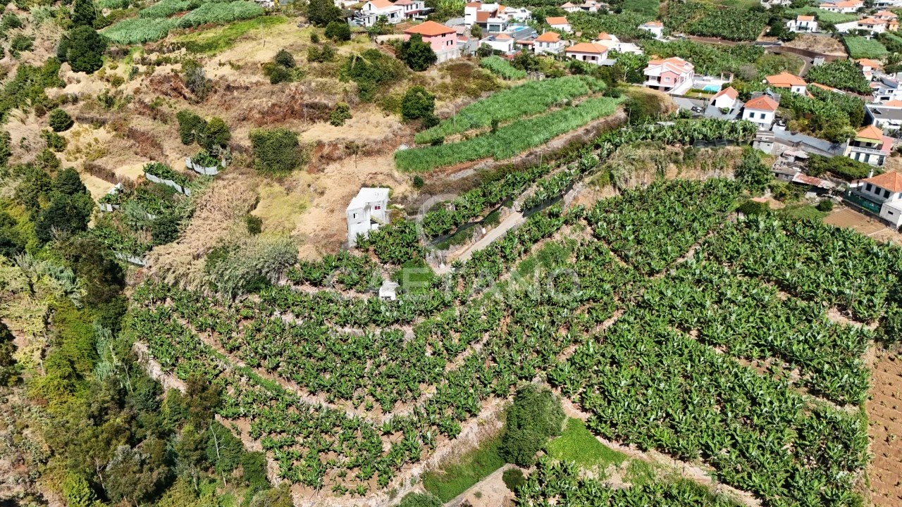 Terreno para Venda em Ponta do Sol Foto 6