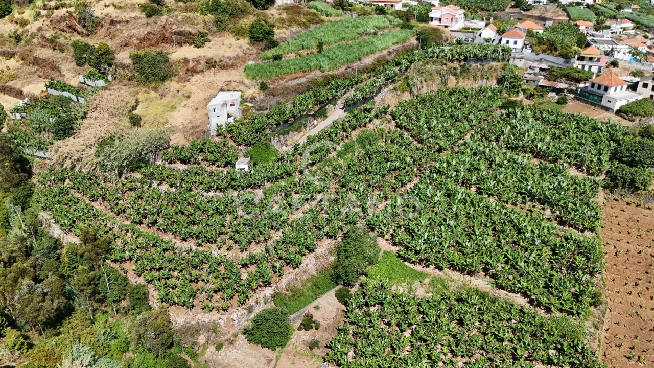 Terreno para Venda em Ponta do Sol Foto 7