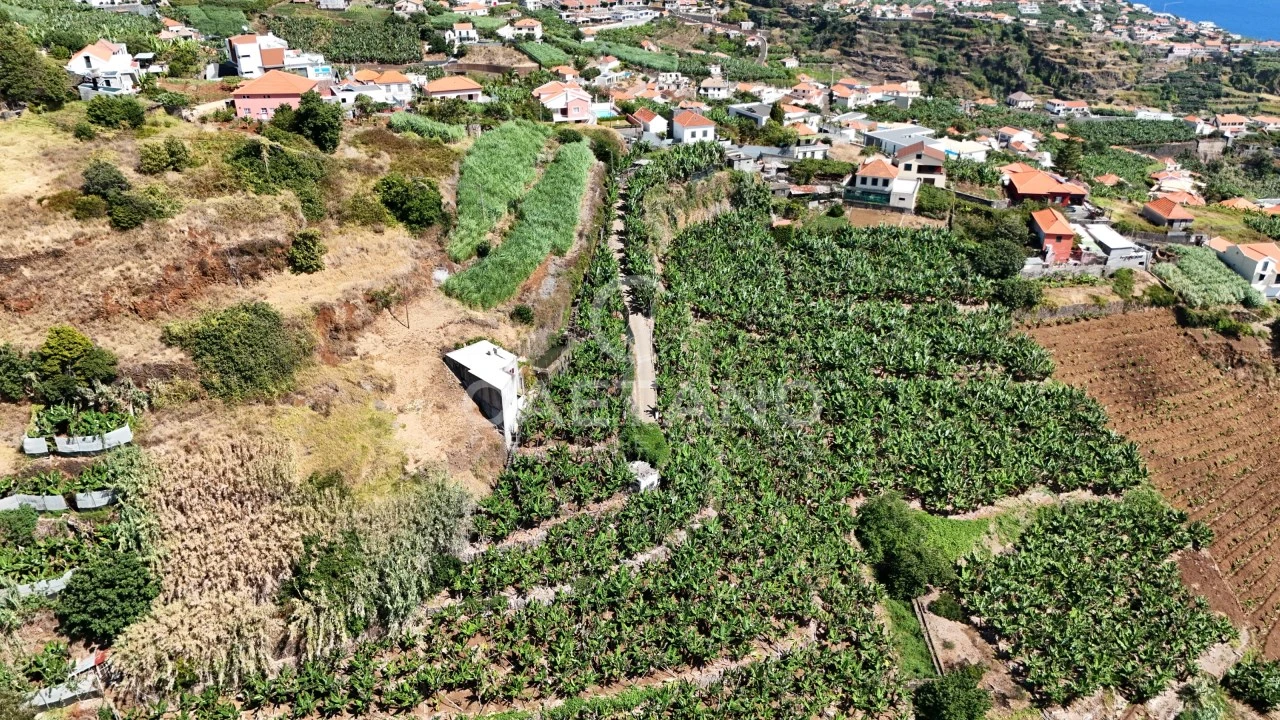 Terreno para Venda em Ponta do Sol Foto 8