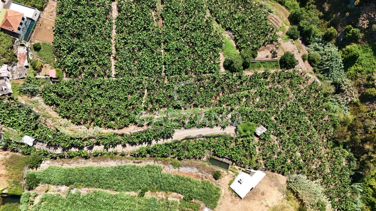 Terreno para Venda em Ponta do Sol Foto 9