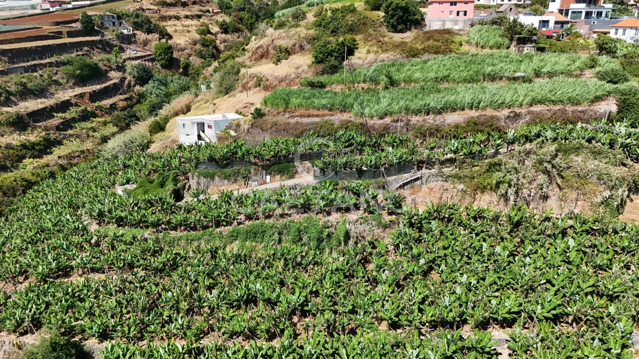 Terreno para Venda em Ponta do Sol Foto 10