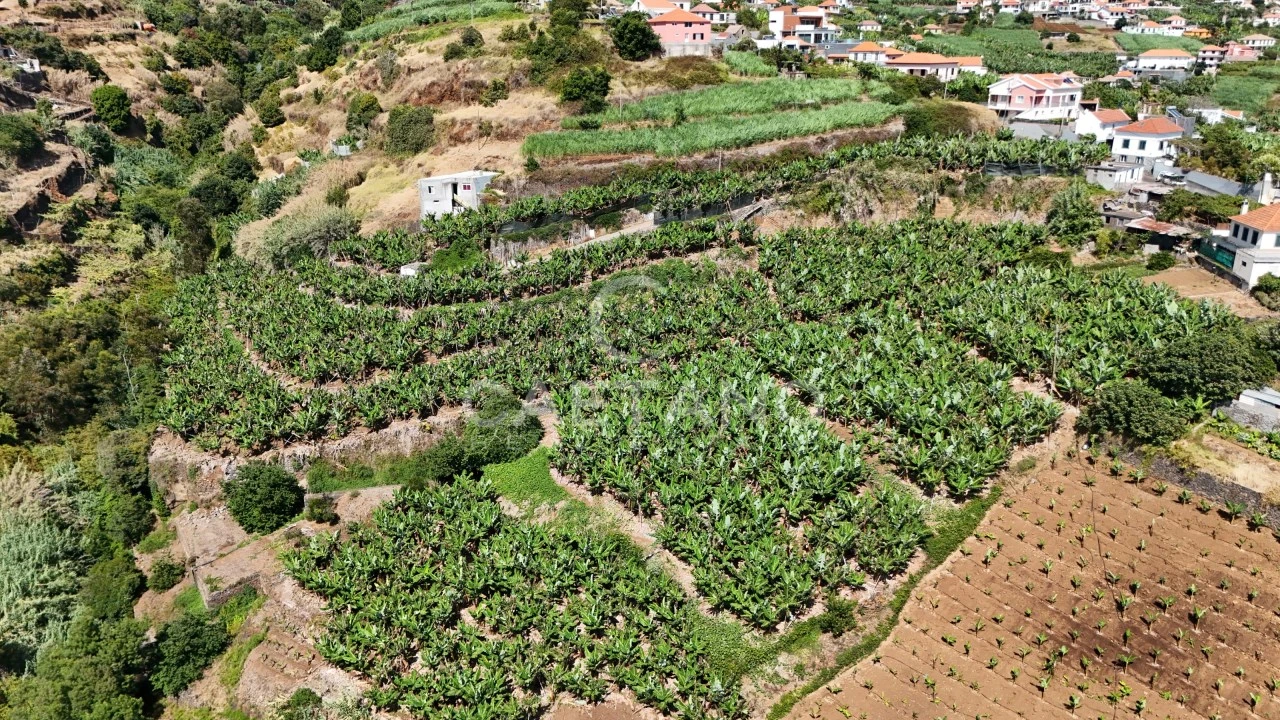 Terreno para Venda em Ponta do Sol Foto 11