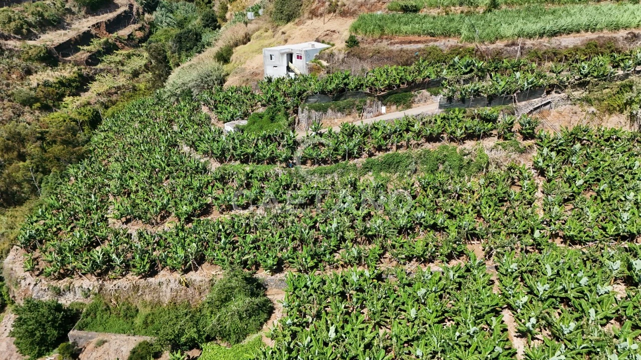 Terreno para Venda em Ponta do Sol Foto 12