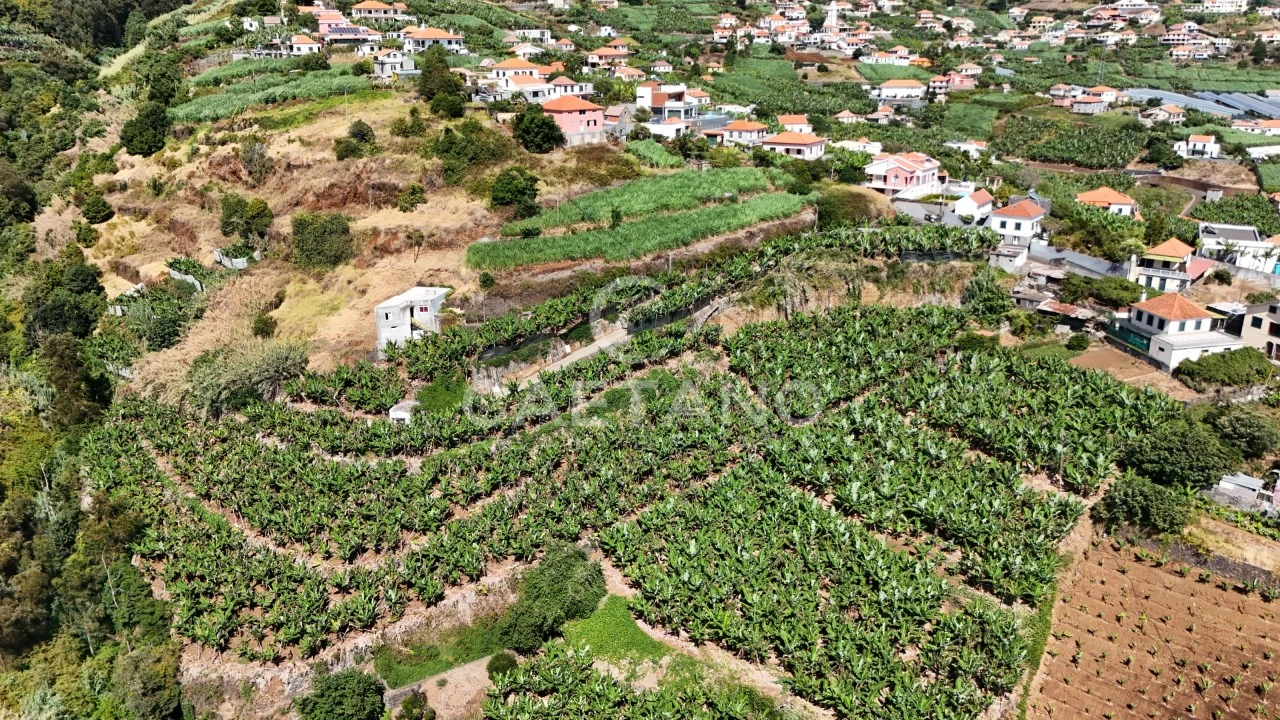 Terreno para Venda em Ponta do Sol Foto 13