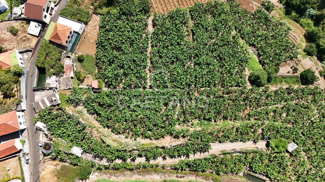 Terreno para Venda em Ponta do Sol Foto 14