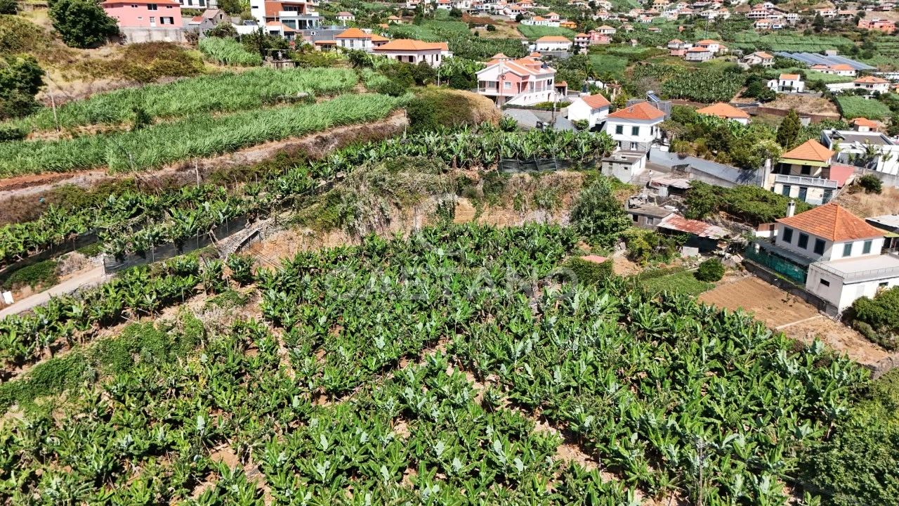 Terreno para Venda em Ponta do Sol Foto 16
