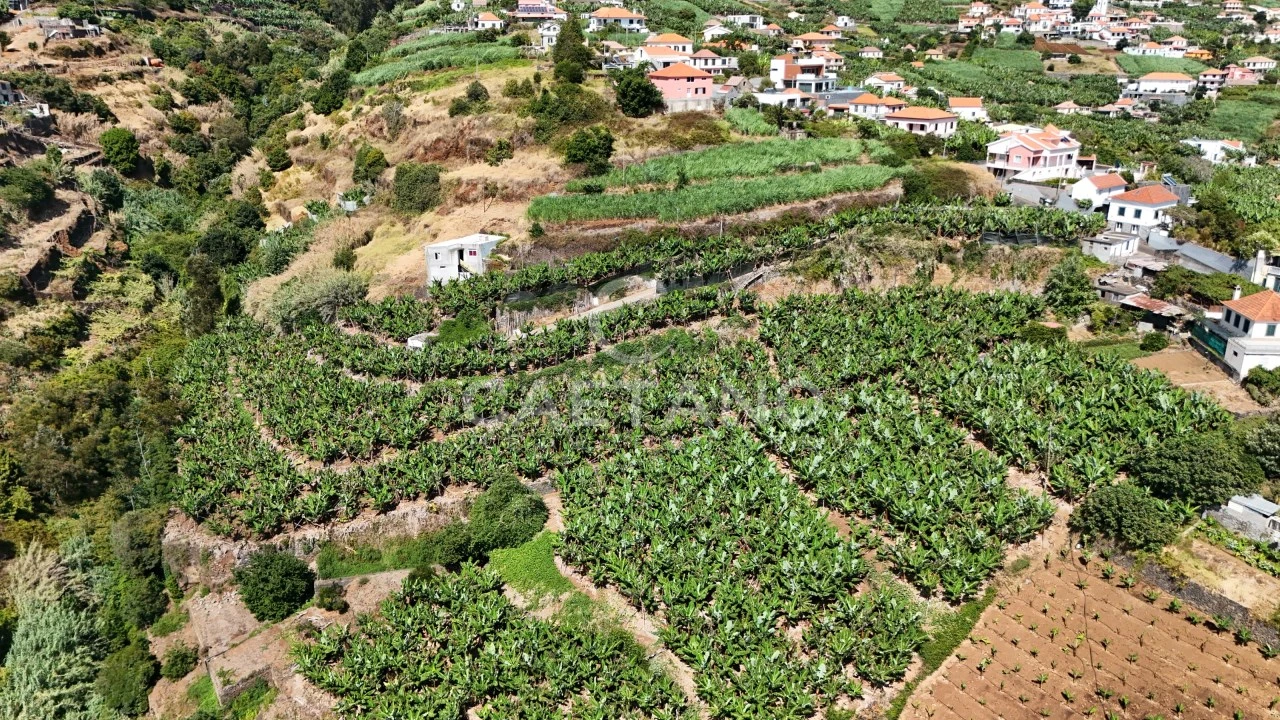 Terreno para Venda em Ponta do Sol Foto 17