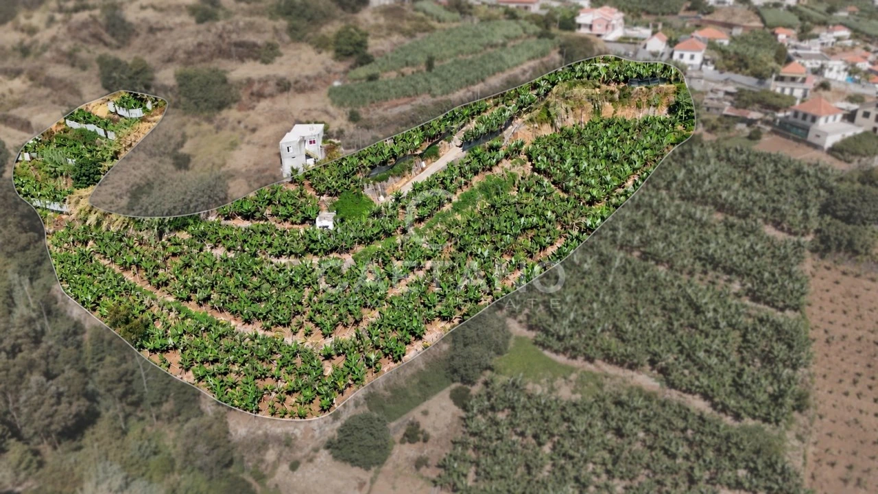 Terreno para Venda em Ponta do Sol Foto 1
