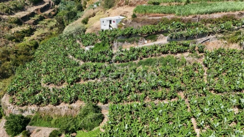 Terreno para Venda em Ponta do Sol