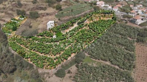 Terreno para Venda em Ponta do Sol