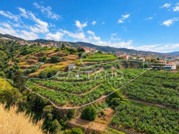 Terreno para Venda em Ponta do Sol
